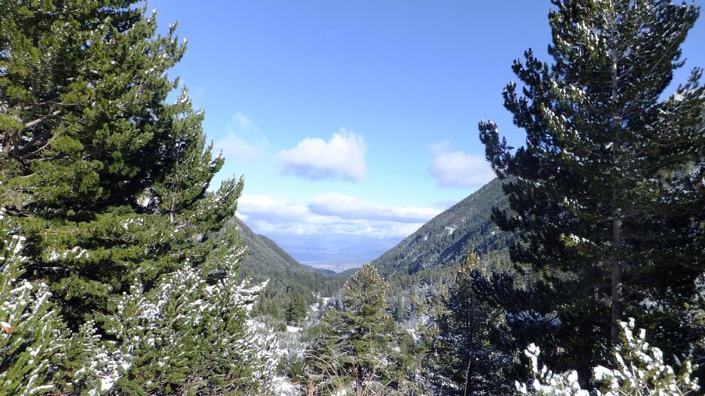 Bansko Prespa Ski Penthouse 객실 사진